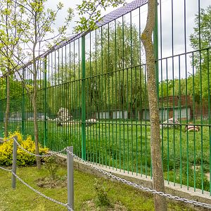 enclosure brown bear
