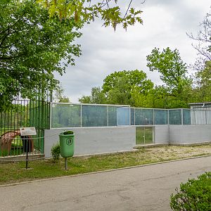 enclosure brown bear
