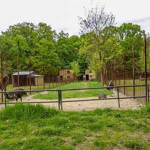 enclosure emu