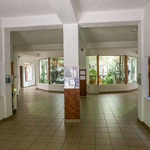 House of fish, reptile, parrots