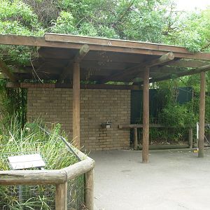 Gorilla Grottoes - Patio Between Grottoes 3 & 4