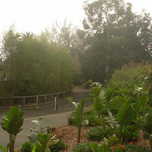 Gorilla Grottos & Path