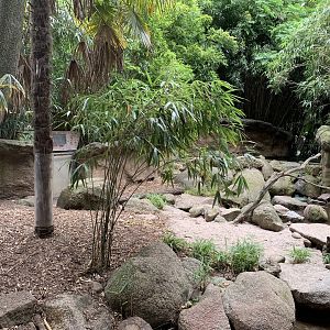 Asian Small-clawed Otter Exhibit