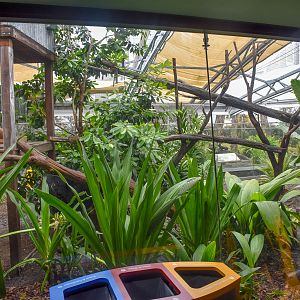 Tree Kangaroo/Echidna Enclosure