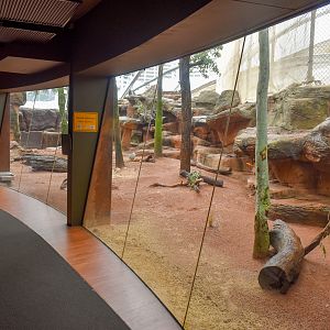 Wombat/Rock-Wallaby Enclosure