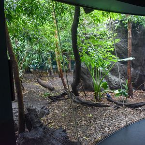 Cassowary/Pademelon Enclosure
