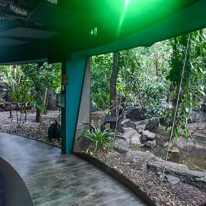 Cassowary/Pademelon Enclosure