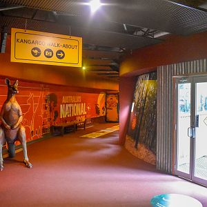 Kangaroo Walkthrough Entrance