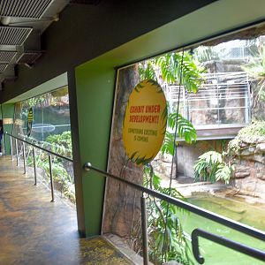 Freshwater Crocodile Enclosure
