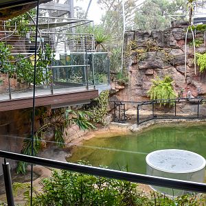 Freshwater Crocodile Enclosure