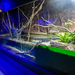 Platypus Enclosure
