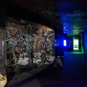 Yellow-bellied Glider/Rufous Bettong Enclosure