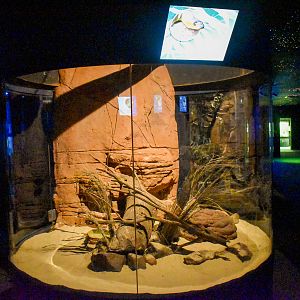 Woma Python Enclosure