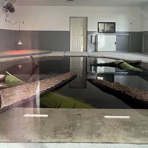 Indoor Alligator Exhibit