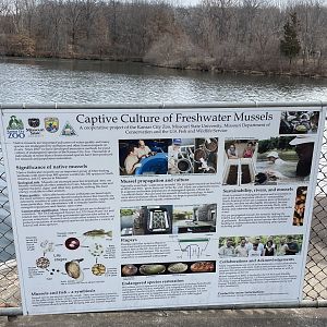 Freshwater Mussel Signage