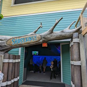 Wetlands of Florida - new "Shorelines" entrance