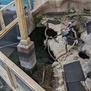 Wetlands of Florida - pelican and cormorant enclosure from above