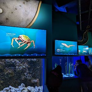 Shorelines - new digital signage