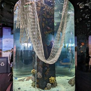 Shorelines - pufferfish tank