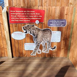 Amur Leopard Signage