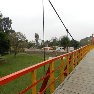 View to the white-tailed deer exhibit - Parque de Las Leyendas