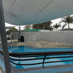 Pinniped exhibit I - Parque de Las Leyendas