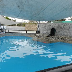 Pinniped exhibit II - Parque de Las Leyendas