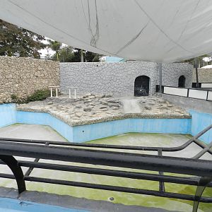 Pinniped exhibit III - Parque de Las Leyendas