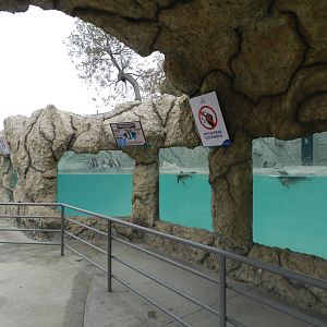 Humboldt penguin exhibit - Parque de Las Leyendas