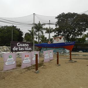 Seabird exhibit - Parque de Las Leyendas