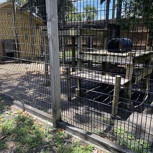 ZooWorld- Aardwolf Exhibit