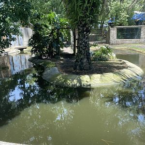ZooWorld- Barid’s Tapir and Capybara Exhibit