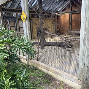 ZooWorld- Squirrel Monkey Exhibit