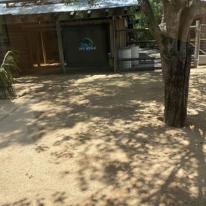 ZooWorld- Red Kangaroo Exhibit