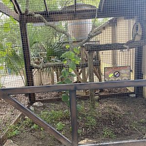 ZooWorld- Laughing Kookaburra Exhibit