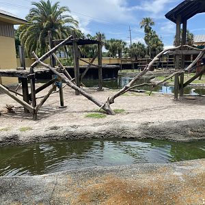 ZooWorld- Domestic Duck and Macaws Exhibit