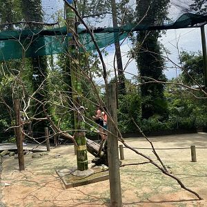 ZooWorld- Budgie Walkthrough Aviary