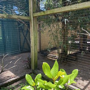 ZooWorld- Aviary-(3 species)