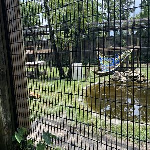 ZooWorld- American Black Bear Exhibit