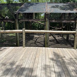 ZooWorld- Aviaries- (3 species)