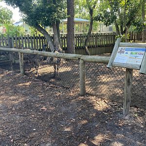 ZooWorld- Emu Exhibit