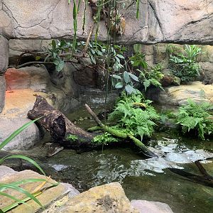 Philippine Crocodile Exhibit