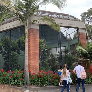South American Aviary