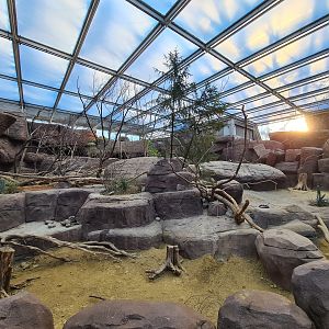 Desert - enclosure Pairie dogs, Porcupines, Peccaries