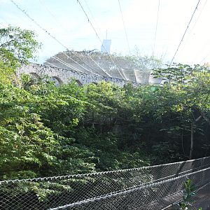 Hanging Bridge in the Aviary