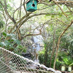 Aviary (view from the Hanging Bridge)