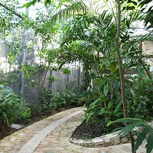 Aviary (Toucan section)