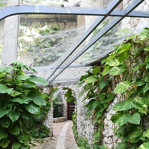 Aviary (Birds of Prey section)