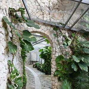 Aviary (Birds of Prey section)