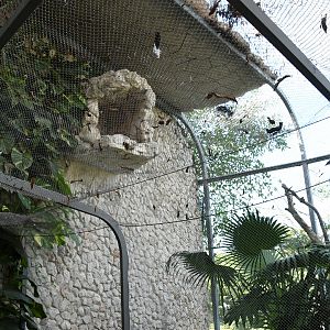 Aviary (Birds of Prey section)